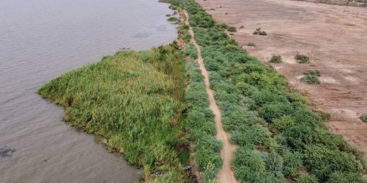 Safari au Sénégal : Explorez la richesse de la faune et des parcs nationaux