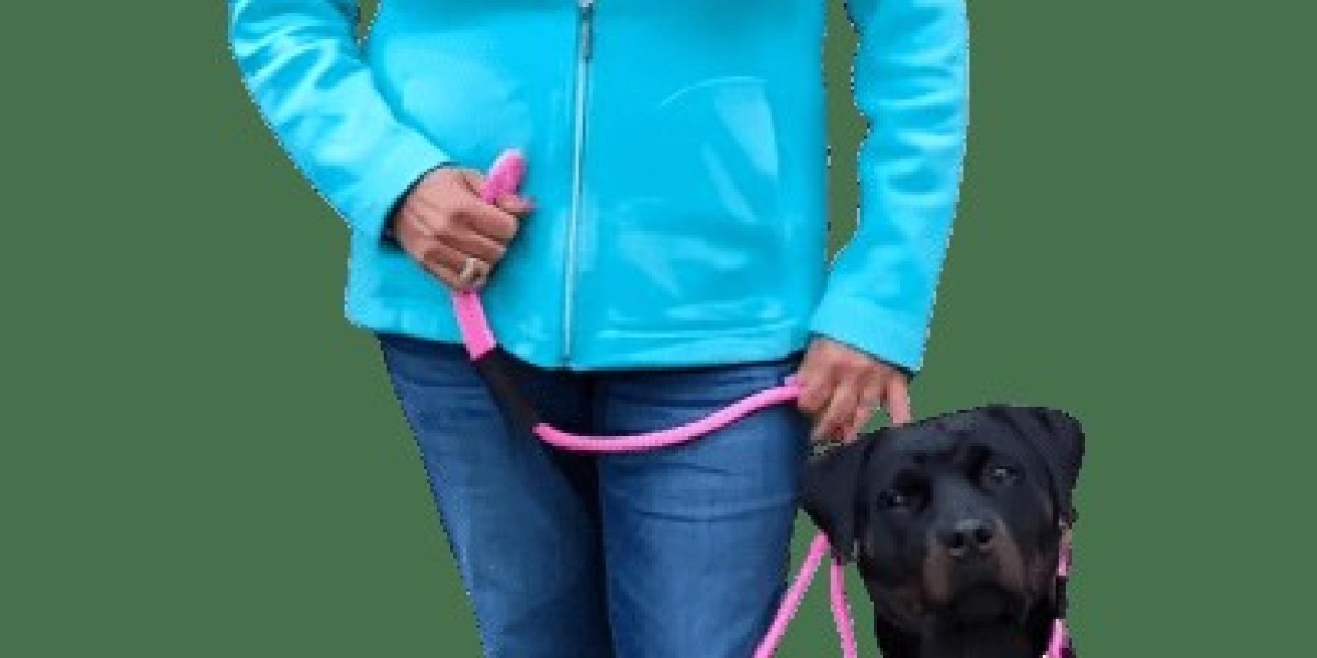 Winter Comfort: Why the Good Walker Hands-free Leash is Your Perfect Holiday Companion for 2025